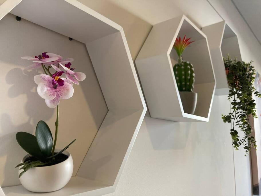 דירות Acogedor Loft En Centro Internacional De בוגוטה מראה חיצוני תמונה